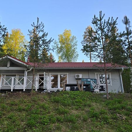 Valentin Cottage Enonkoski Εξωτερικό φωτογραφία